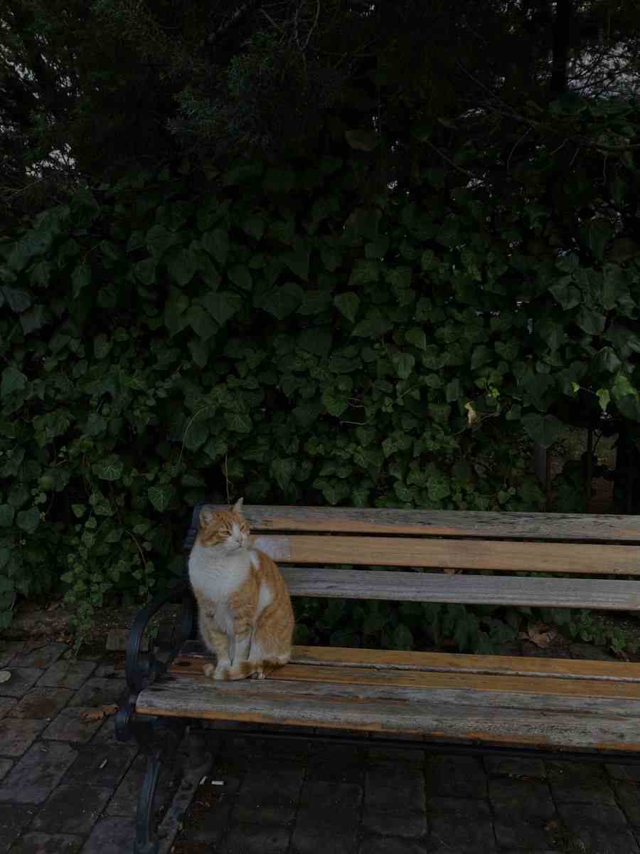 Ảnh Chill Buồn 13