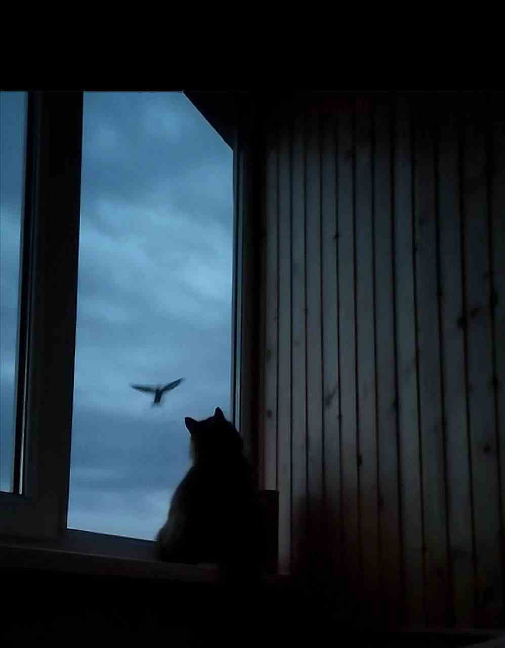 Ảnh Chill Buồn 19