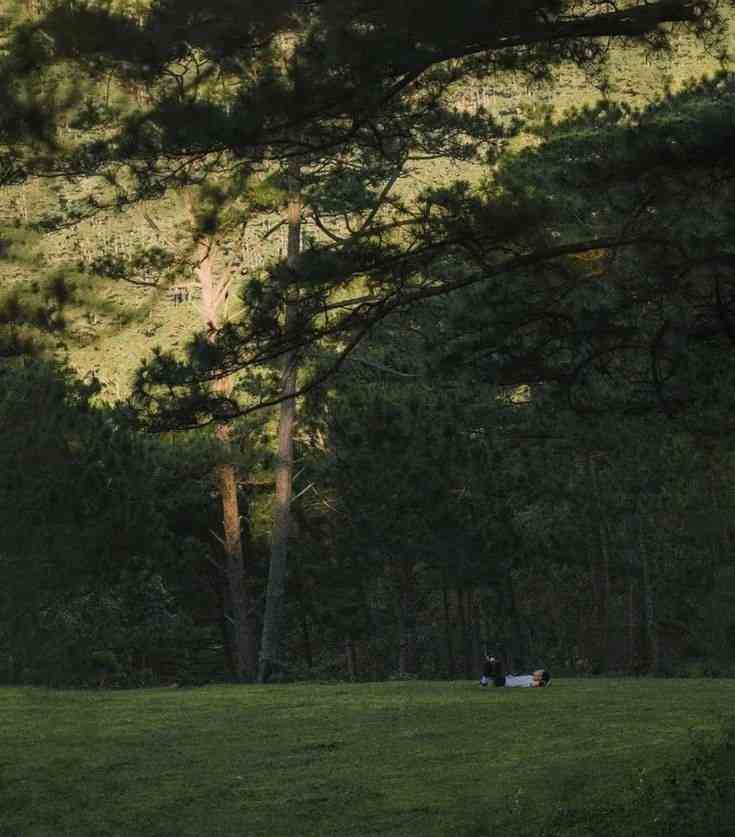 Ảnh Chill Buồn 7