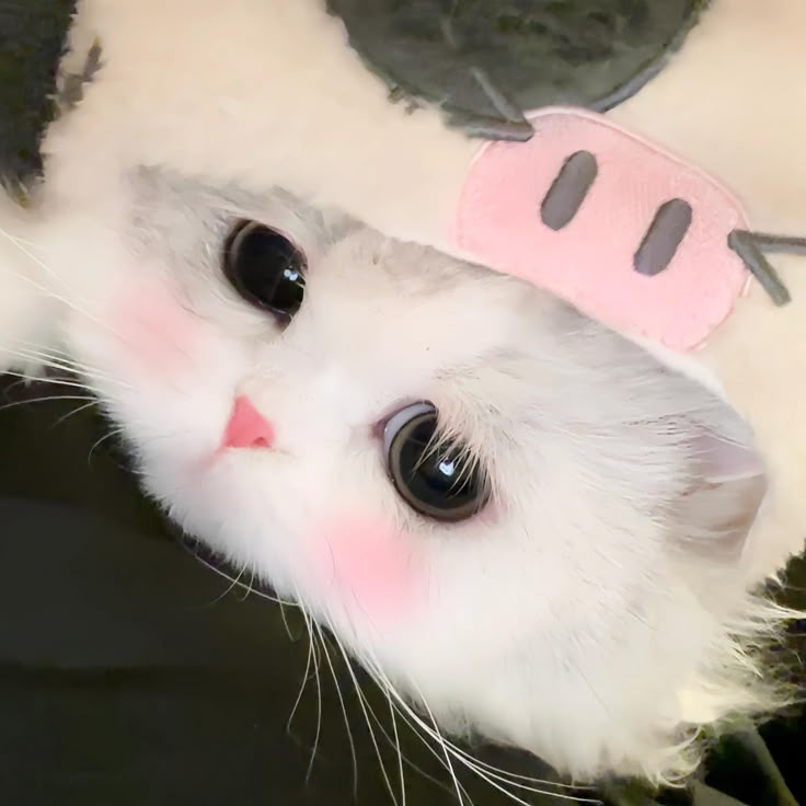 Ảnh Đại Diện Đẹp 14