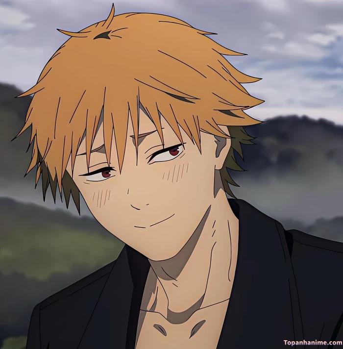 Mẫu ảnh Denji 33