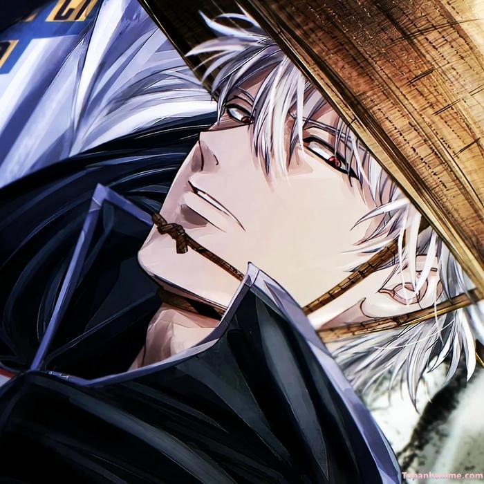 Mẫu ảnh Gintoki Sakata 16