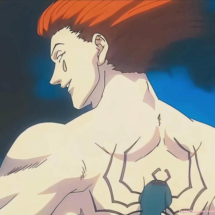 Mẫu ảnh Hisoka Morow 17