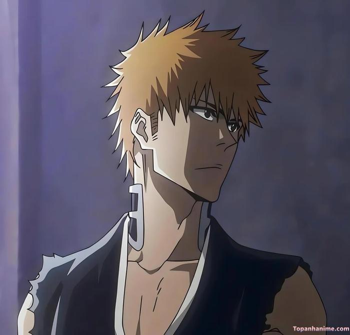 Mẫu ảnh Ichigo Kurosaki 14