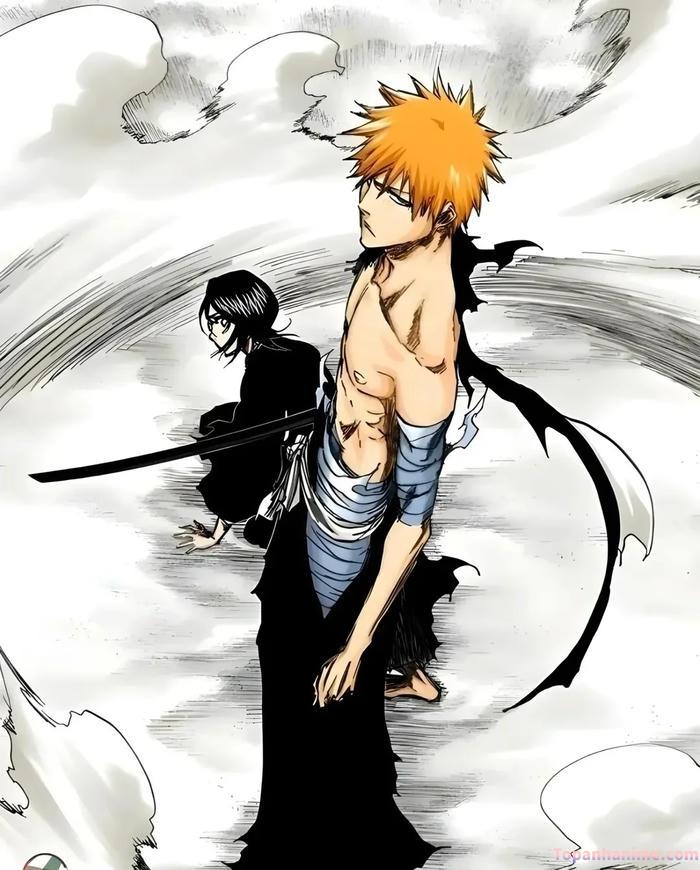 Mẫu ảnh Ichigo Kurosaki 19