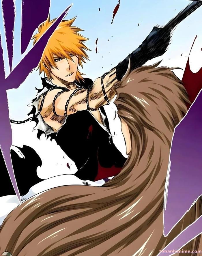 Mẫu ảnh Ichigo Kurosaki 28