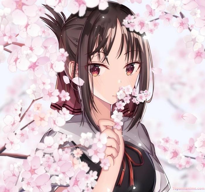 Mẫu ảnh Kaguya Shinomiya 33