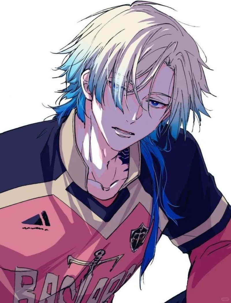 ảnh Kaiser anime 1