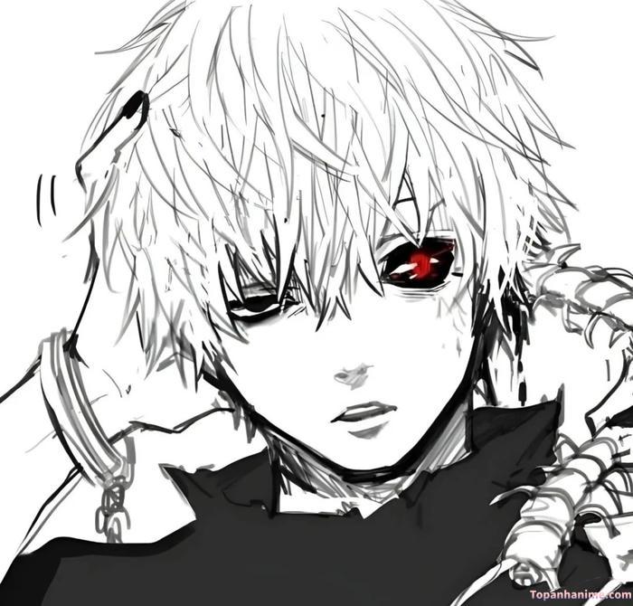 Mẫu ảnh Kaneki Ken 10