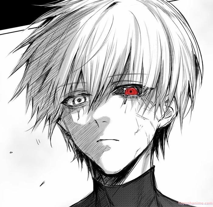 Mẫu ảnh Kaneki Ken 18