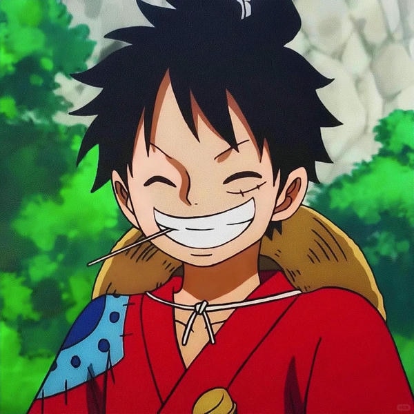 Luffy cười 17