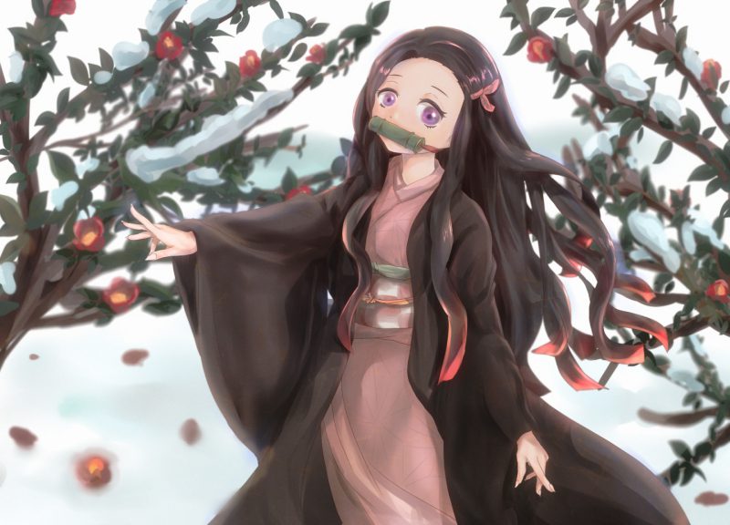 ảnh Nezuko 33
