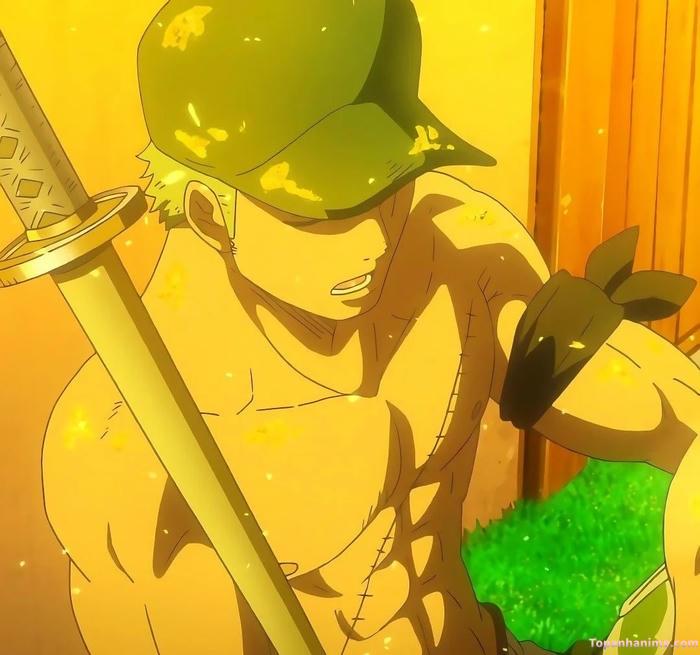 Mẫu ảnh Roronoa Zoro 10