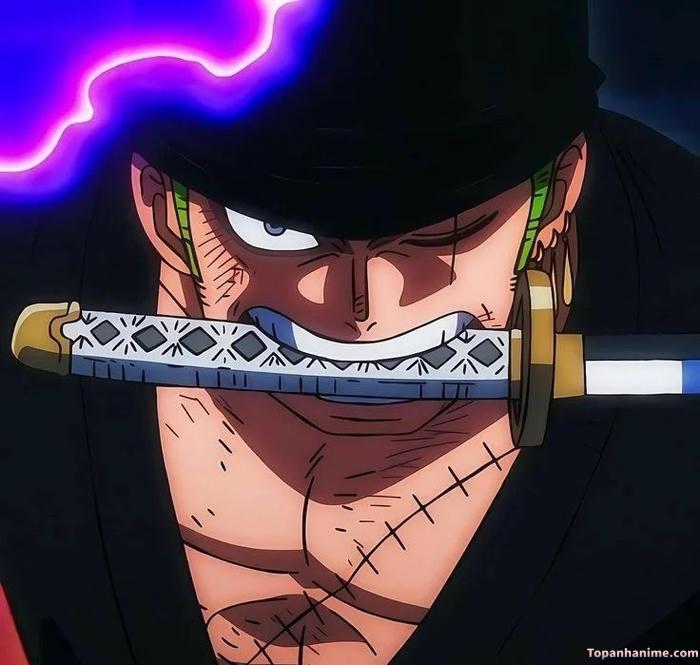 Mẫu ảnh Roronoa Zoro 13