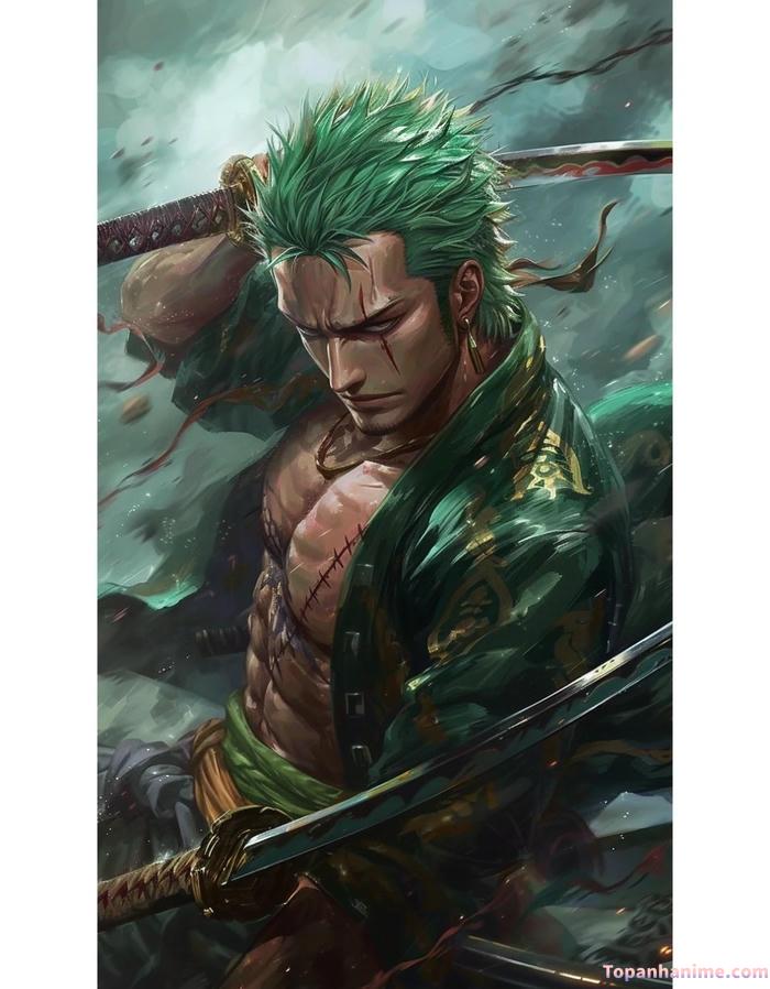Mẫu ảnh Roronoa Zoro 16