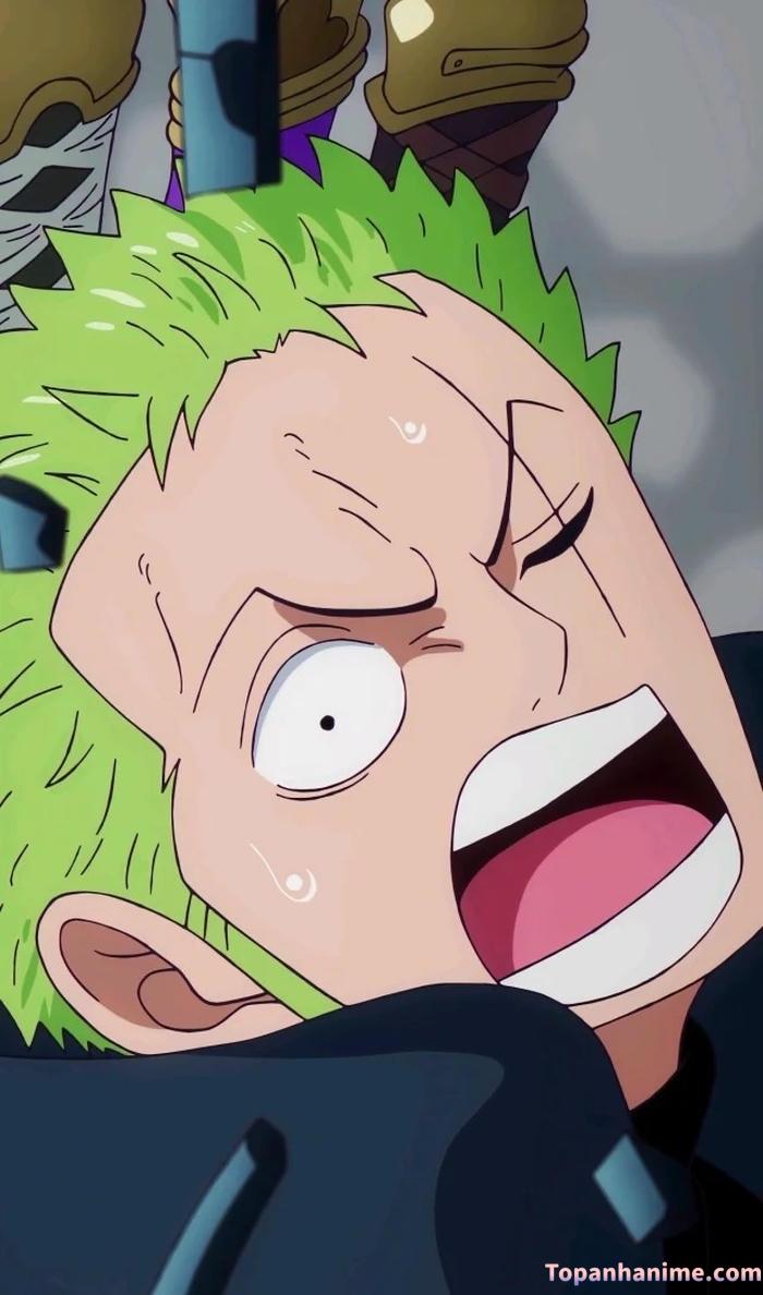 Mẫu ảnh Roronoa Zoro 17