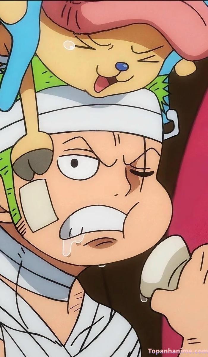 Mẫu ảnh Roronoa Zoro 34