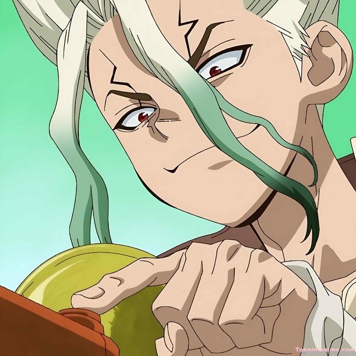 Mẫu ảnh Senku Ishigami 16