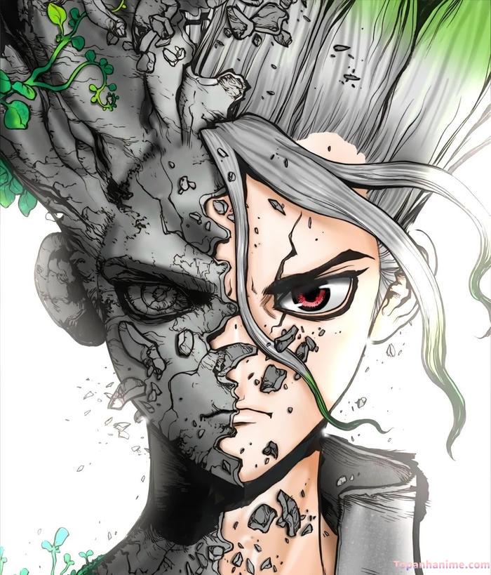 Mẫu ảnh Senku Ishigami 20