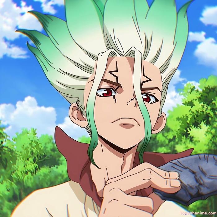 Mẫu ảnh Senku Ishigami 32