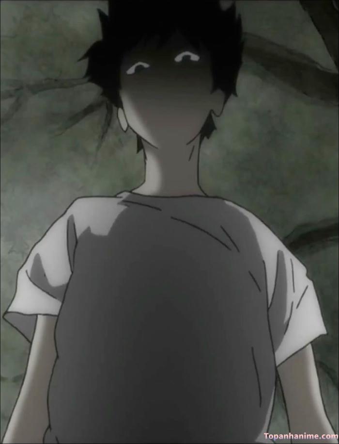 Mẫu ảnh Shigeo Kageyama 11