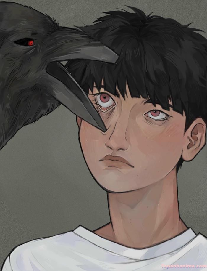 Mẫu ảnh Shigeo Kageyama 12