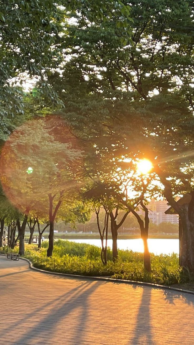 Ảnh Thiên Nhiên 15