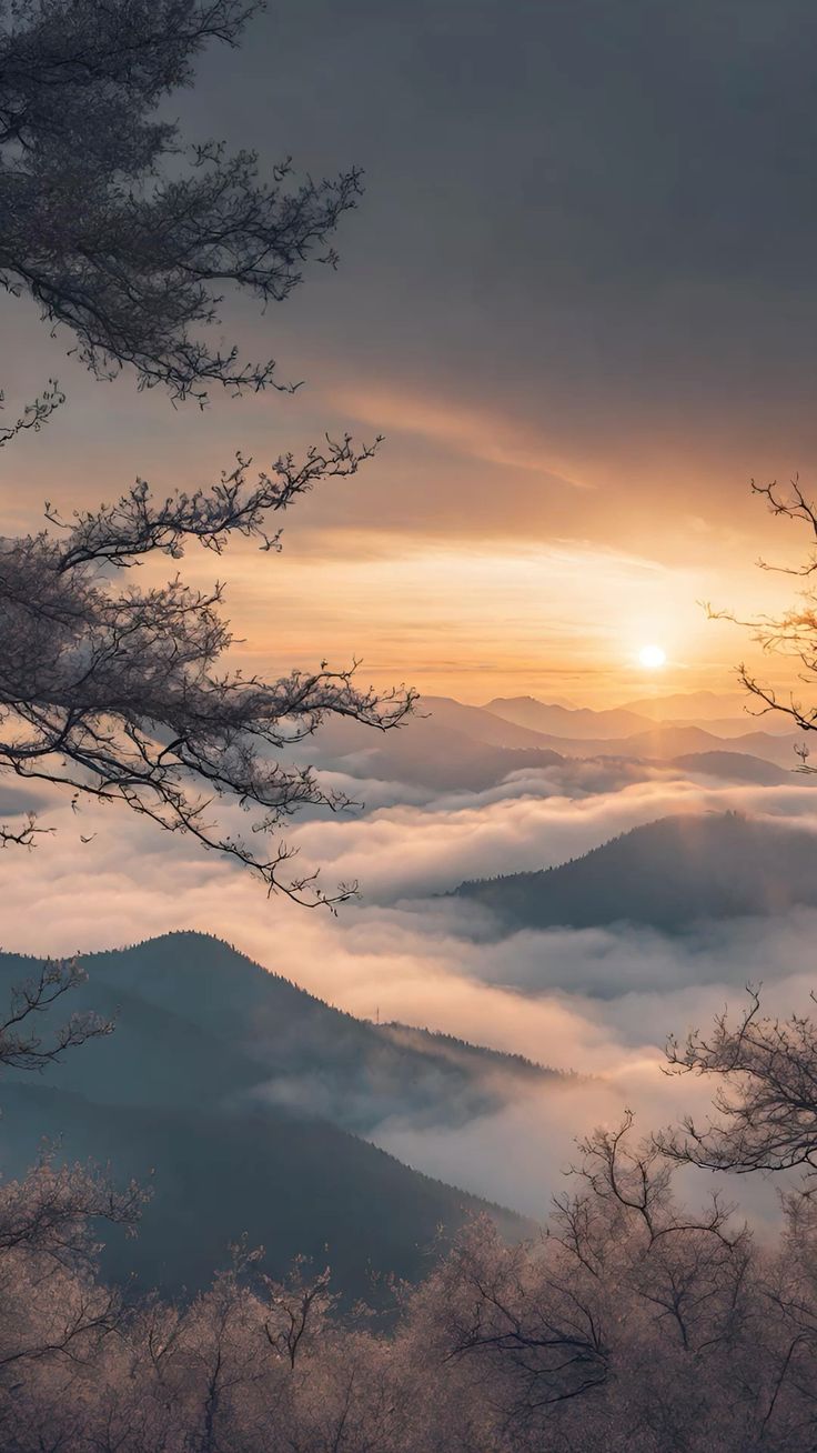 Ảnh Thiên Nhiên 16