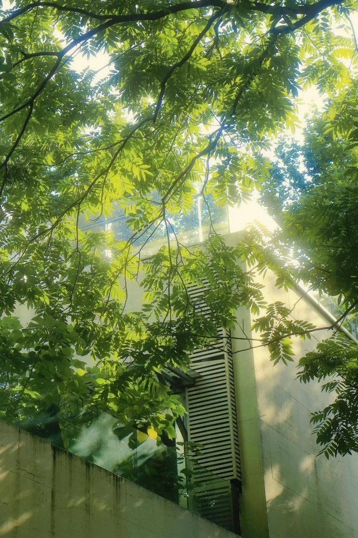 Ảnh Thiên Nhiên 7