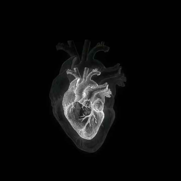 Ảnh Trái Tim Đen 7