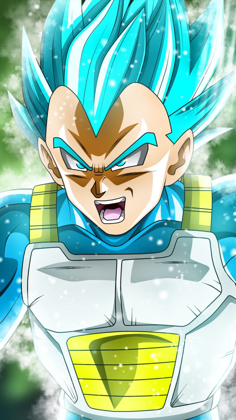 ảnh Vegeta 9