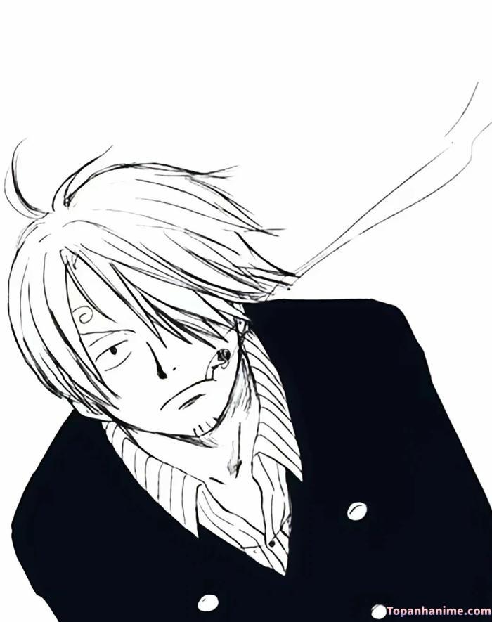 Mẫu ảnh Vinsmoke Sanji 10