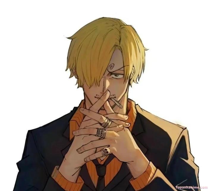 Mẫu ảnh Vinsmoke Sanji 23