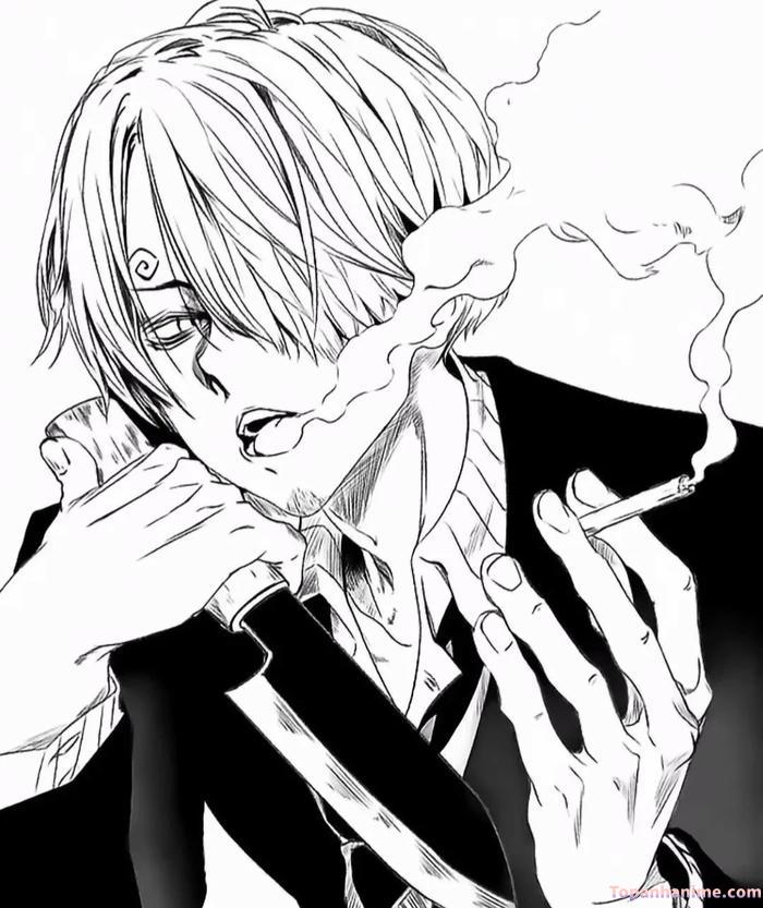 Mẫu ảnh Vinsmoke Sanji 25