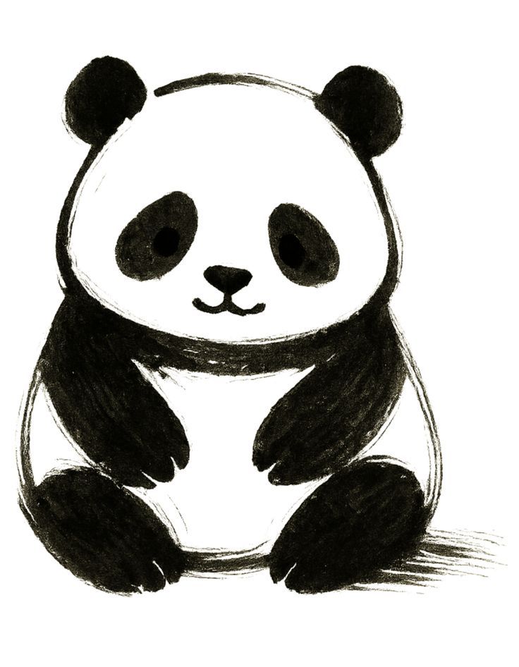 Anime Panda 13
