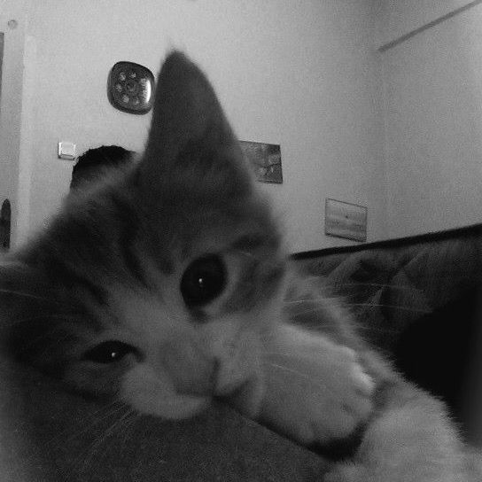 Avatar tâm trạng buồn 7