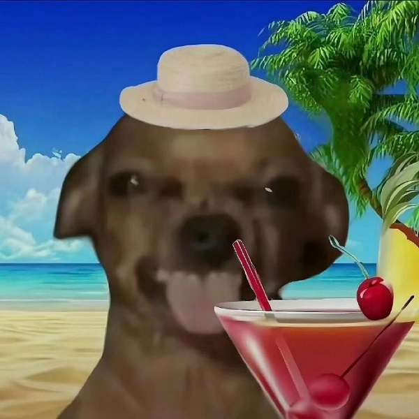 Avatar Đôi Vô Tri 6