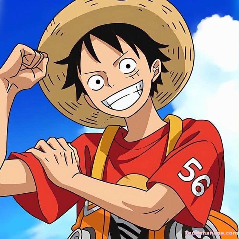 ảnh anime Luffy 17
