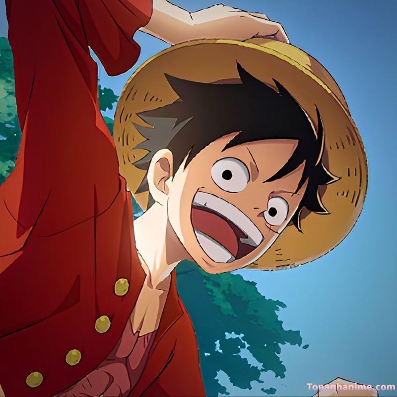 ảnh anime Luffy 20