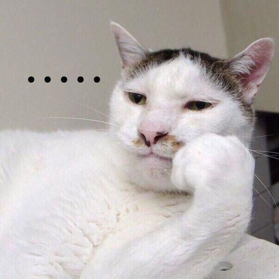 Avatar Mèo Ngáo 14