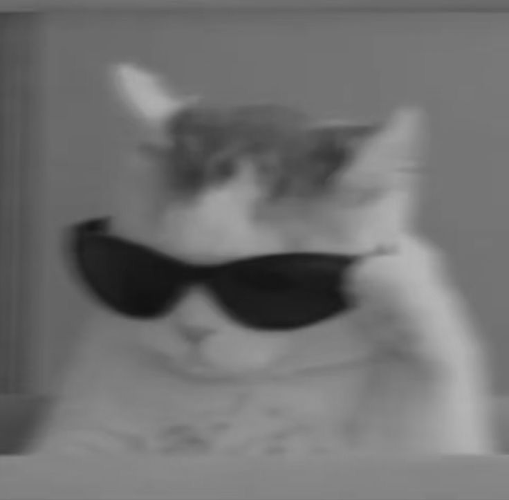 Avatar Mèo Ngầu 8