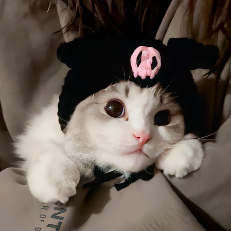 Avatar Mèo Ngầu 7