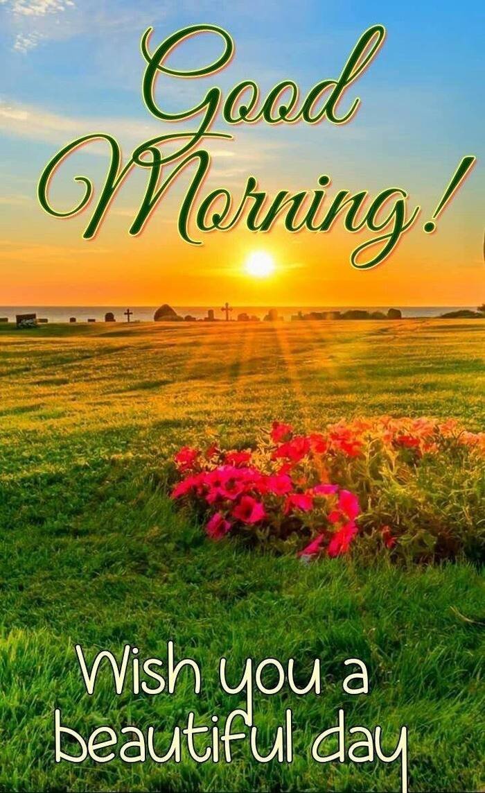 Beautiful Nature Good Morning Images 24