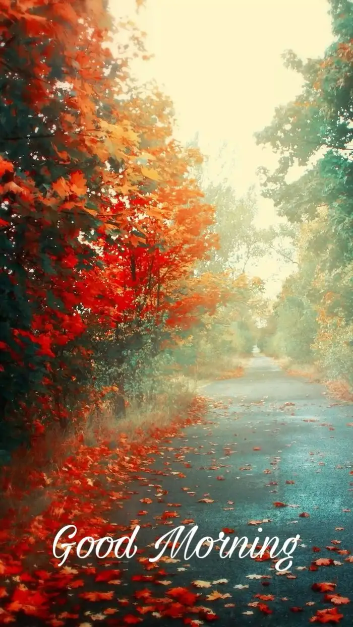 Beautiful Nature Good Morning Images 35