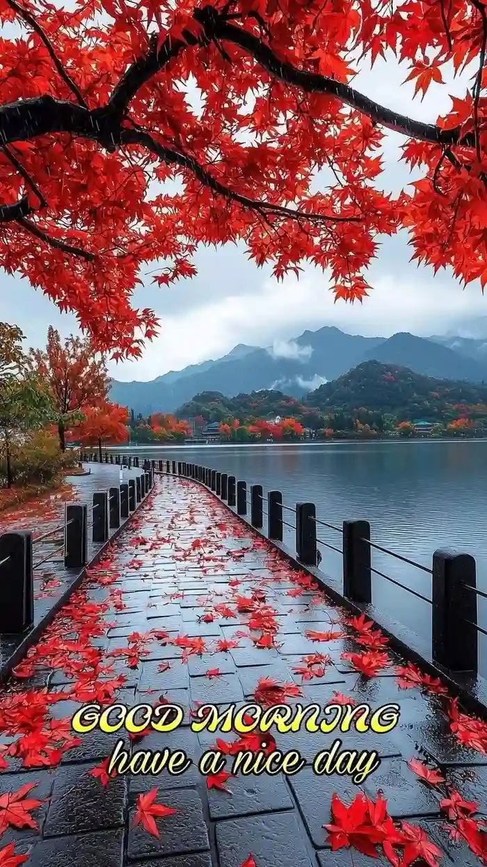 Beautiful Nature Good Morning Images 36