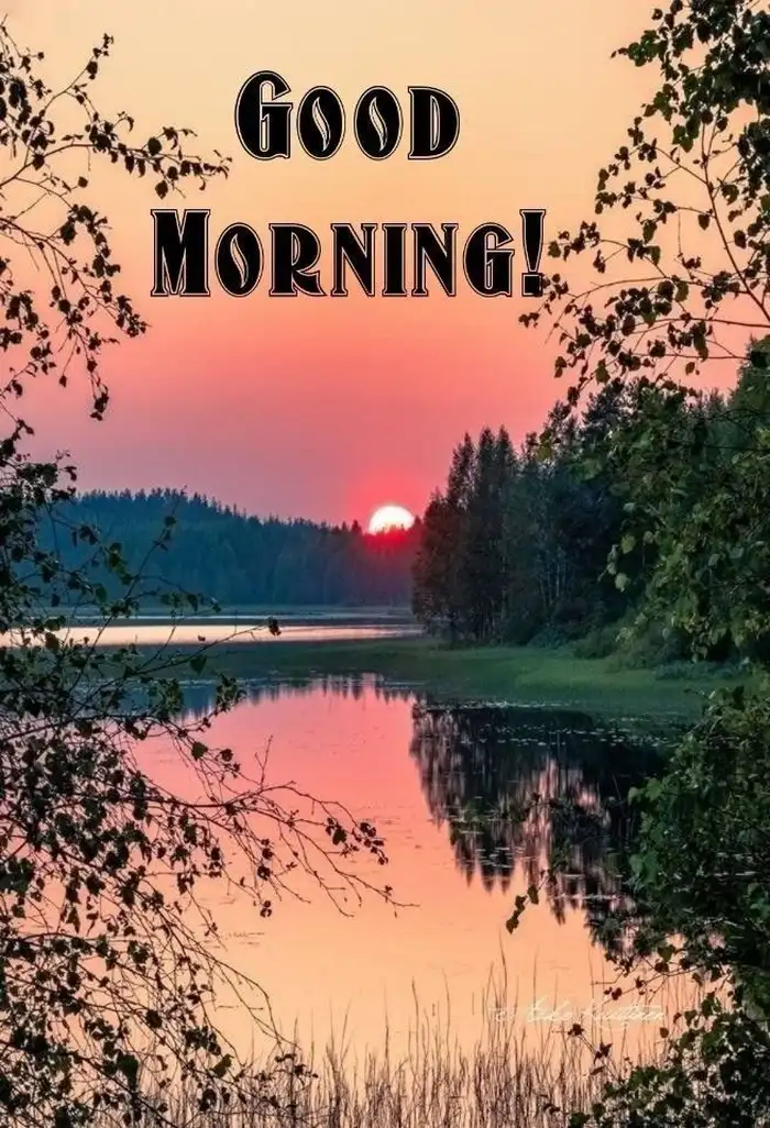 Beautiful Nature Good Morning Images 43