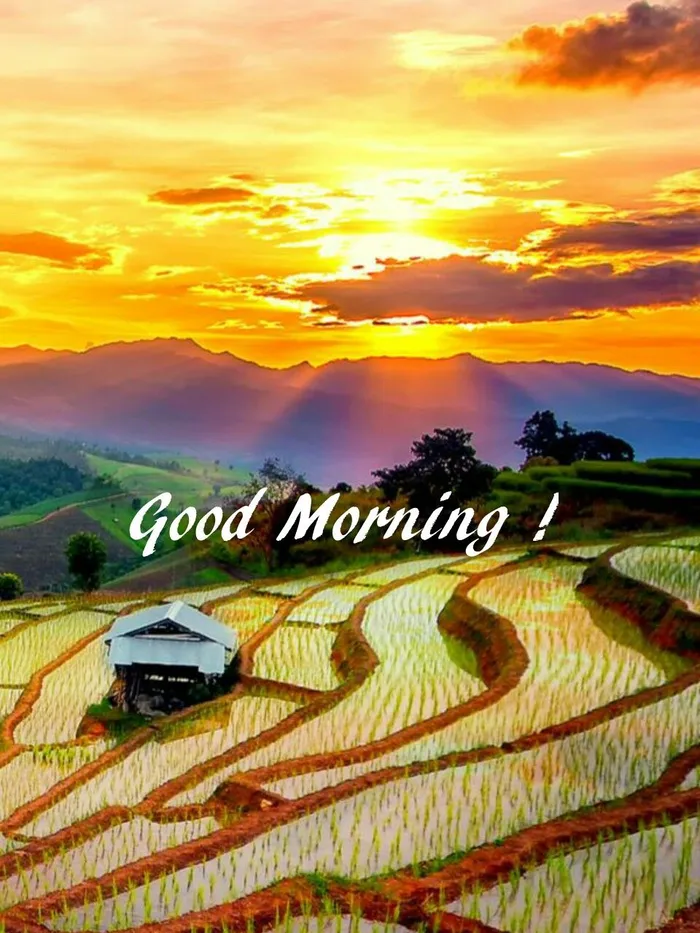 Beautiful Nature Good Morning Images 44