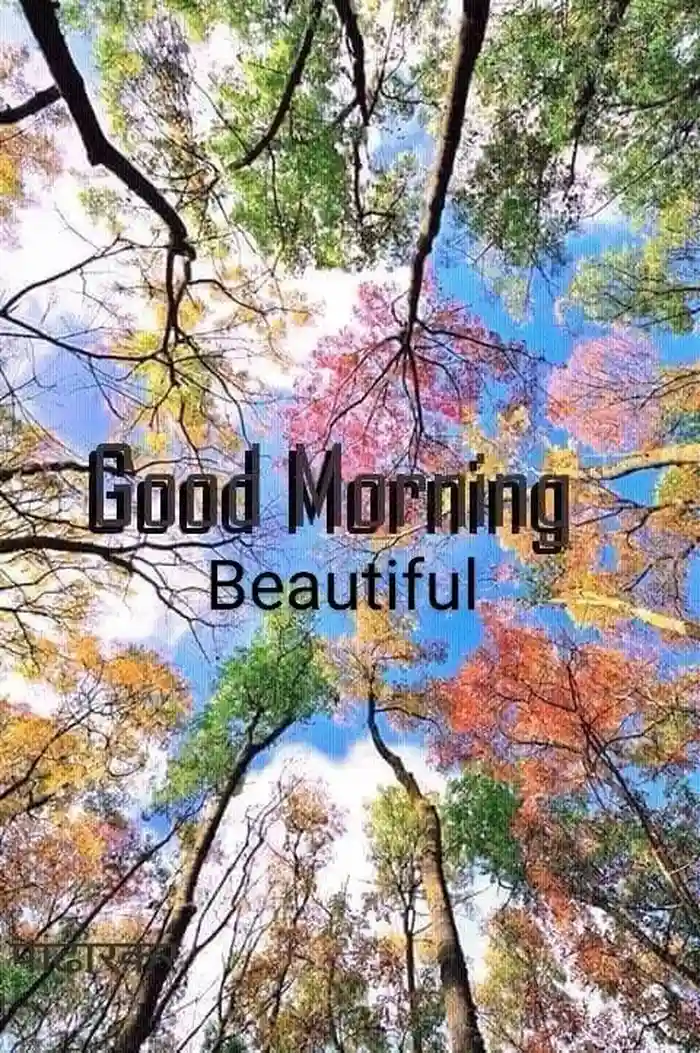 Beautiful Nature Good Morning Images 46