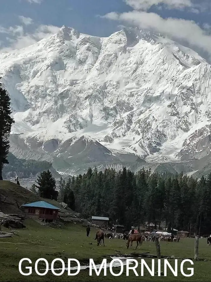 Beautiful Nature Good Morning Images 50