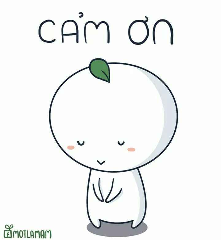 Cảm Ơn Meme 3